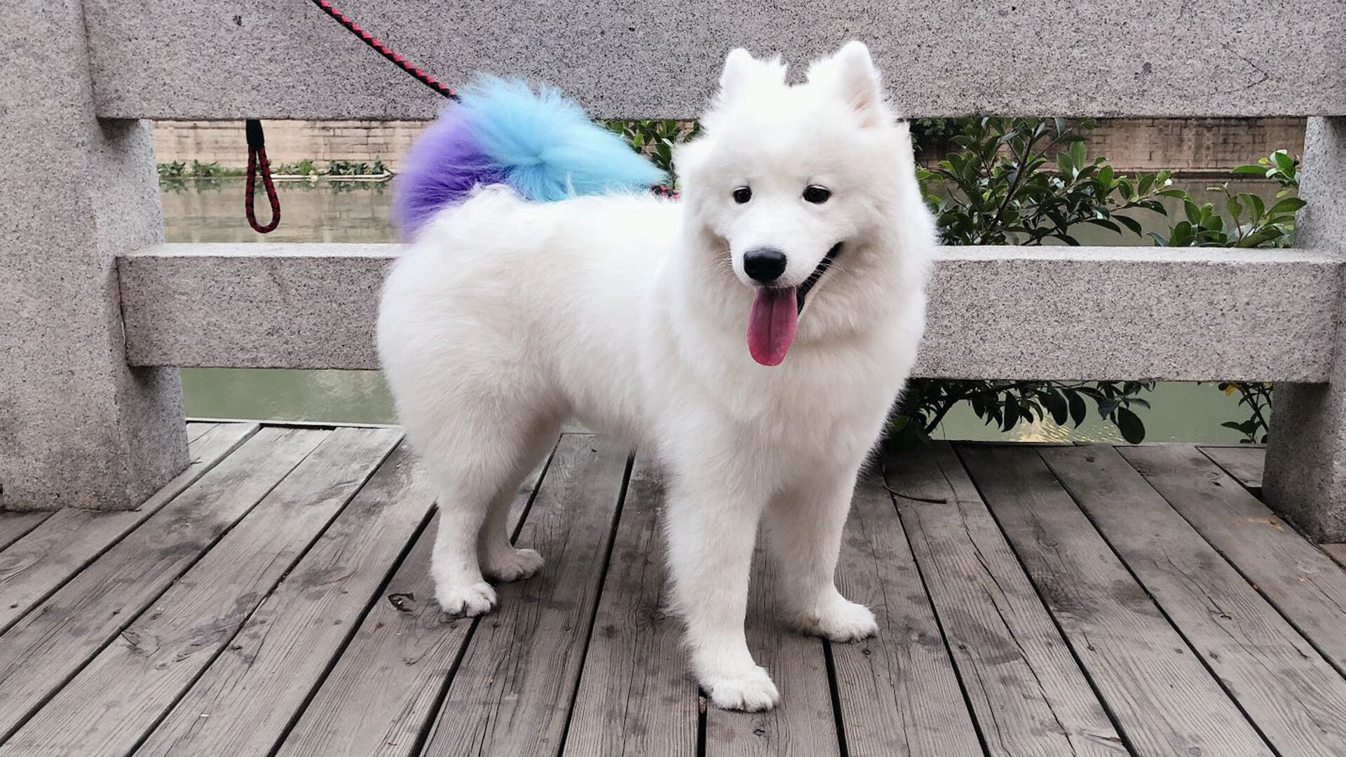 《王者荣耀年度总决赛,强强对决震撼全场》,今年王者荣耀总决赛