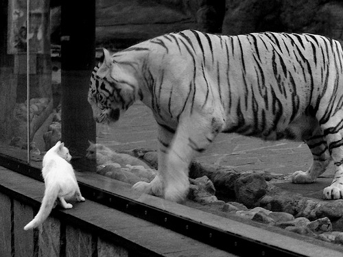 【丁俊晖】与奥沙利文的“巅峰对决”，谁能称霸？，丁俊晖和奥沙利文交手记录和比分