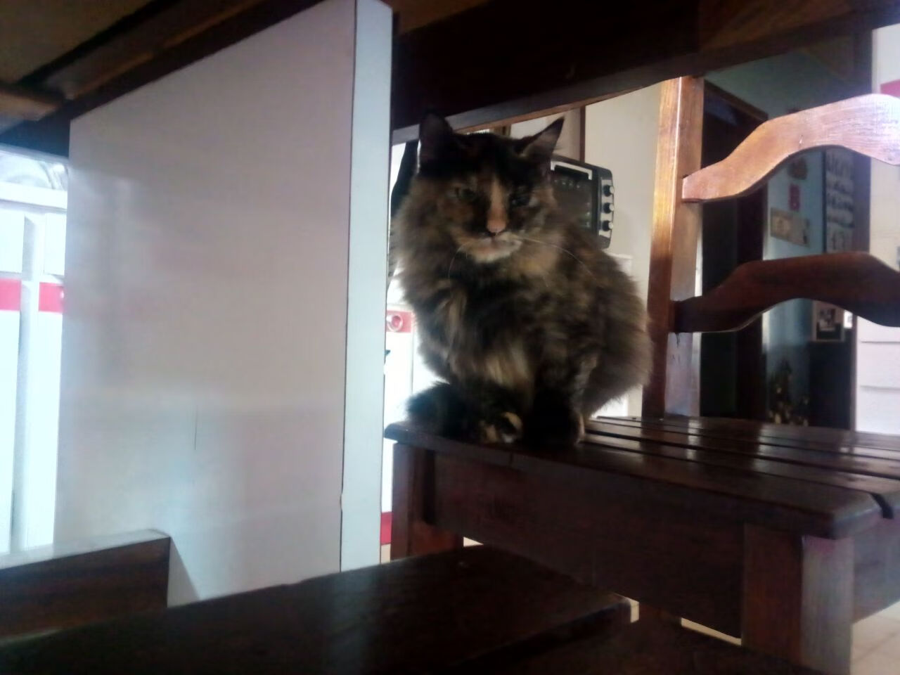 【基础训练】打好坚实基础,提升母球控制能力,如何控制母球走位