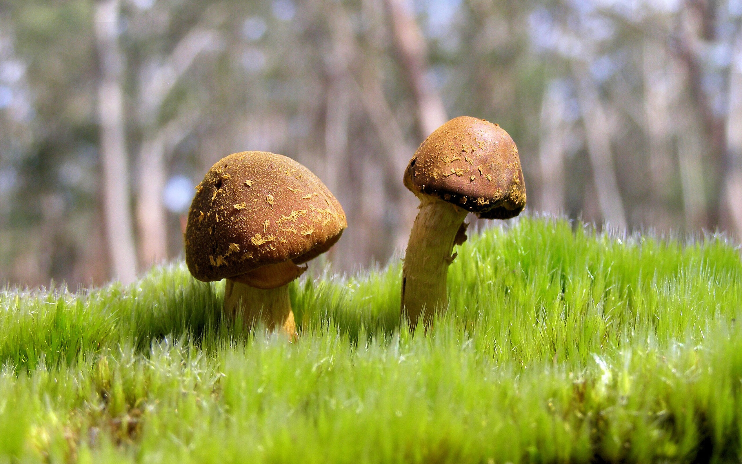 九游登录中心-【丁俊晖】与奥沙利文的“巅峰对决”,谁能称霸?,丁俊晖和奥沙利文交手记录和比分