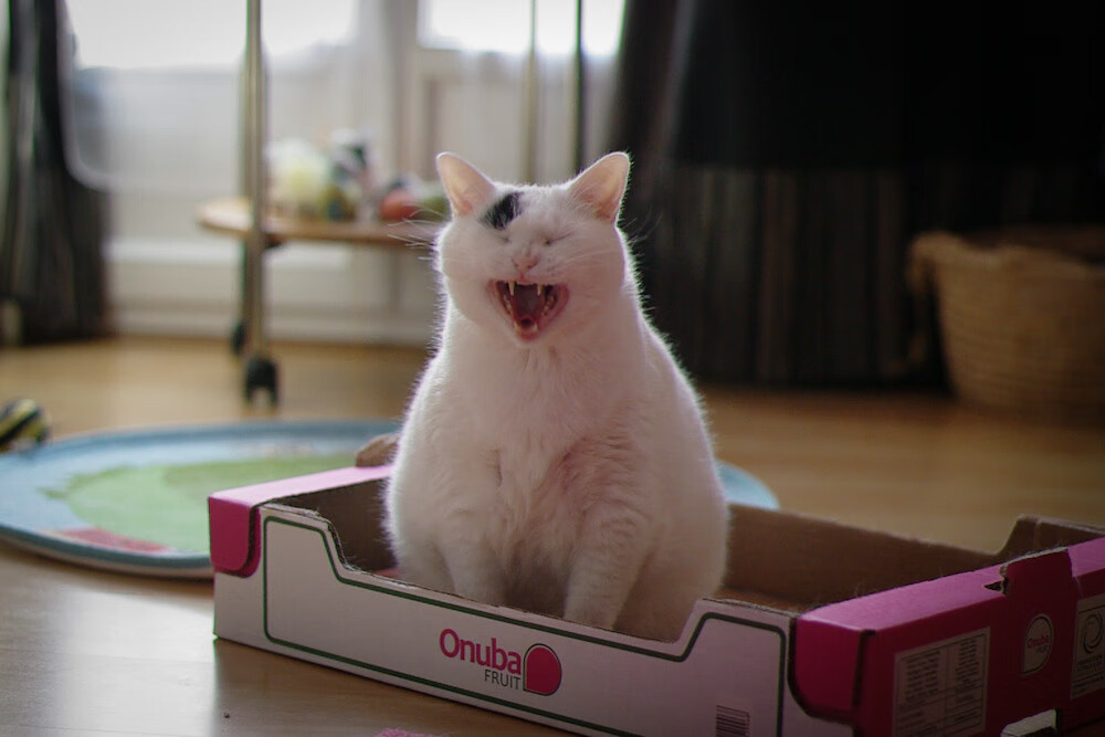 九游-史上最闪耀“冠军夜”：荣耀永载足球史册，荣耀冠军球队之魂