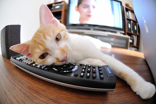 九游娱乐(jiuyou)官方网站-季后赛中“荣获”多场“最佳防守球员”头衔，被声称是“防守大师”！